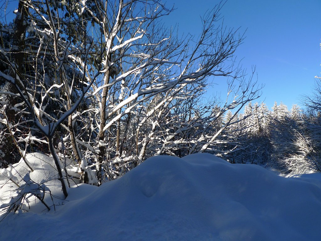 Christmas2010 176.JPG